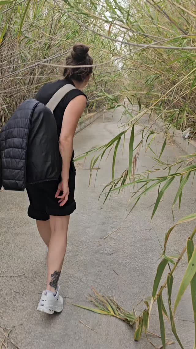 What we did on Saturday near Alicante in Spain 🇪🇸
#walkies #weightlossjourney #lifestylechange #lifestylechange #alicante