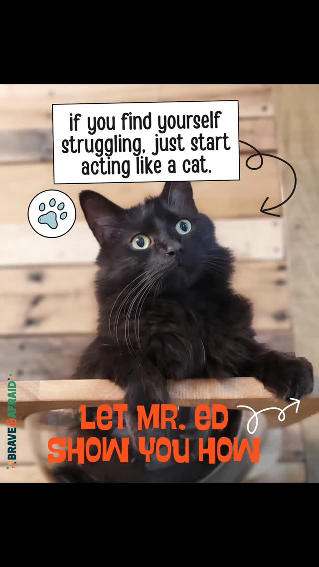 Notes from the cat 🐈⬛:
Rest without explaining.
Take breaks when you've had enough.
Find a sunny spot and stay there.
Do something just because it feels good.
No overthinking, no guilt & excellent naps. #mentalhealthmatters #restisproductive #therapyiscool #catladytherapy