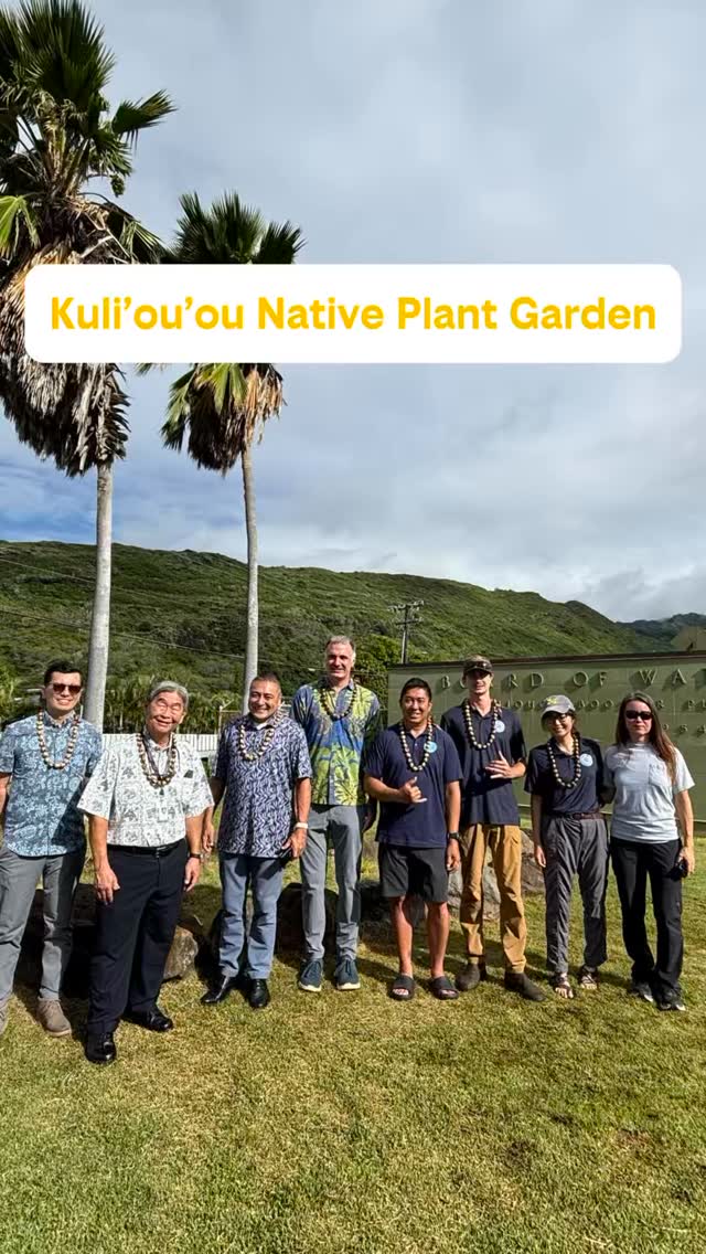 Happy Earth Day! 🌎🌱🩵
Today we’re highlighting our native xeriscape garden in Kuliʻouʻou. We’re so grateful for this collaboration with @bwshonolulu and @malamamaunalua.
We hope this space gives people ideas for native species they can plant at home. Native plants are naturally adapted to the local climate, so they typically require less water and maintenance.
Using native plants in your landscaping is a simple way to conserve water, reduce stormwater runoff, and support healthier downstream ecosystems.
#nativeplants #nativegarden #gonative #earthday #malamaaina