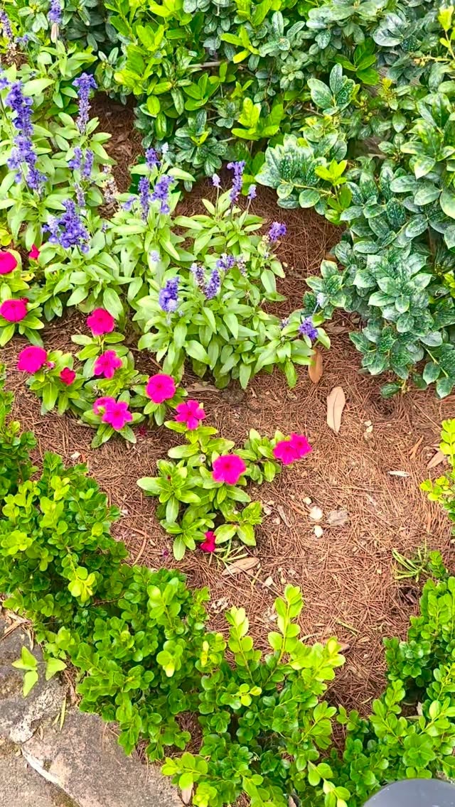 Spring Color that will brighten your day 🌺🌞