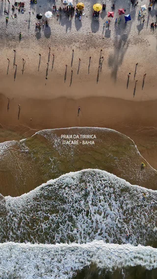 Se esse vídeo chegou até você, é porque você está precisando de um dia de sol na Praia da Tiririca.
#itacare #bahia #praia #itacaré #dicas