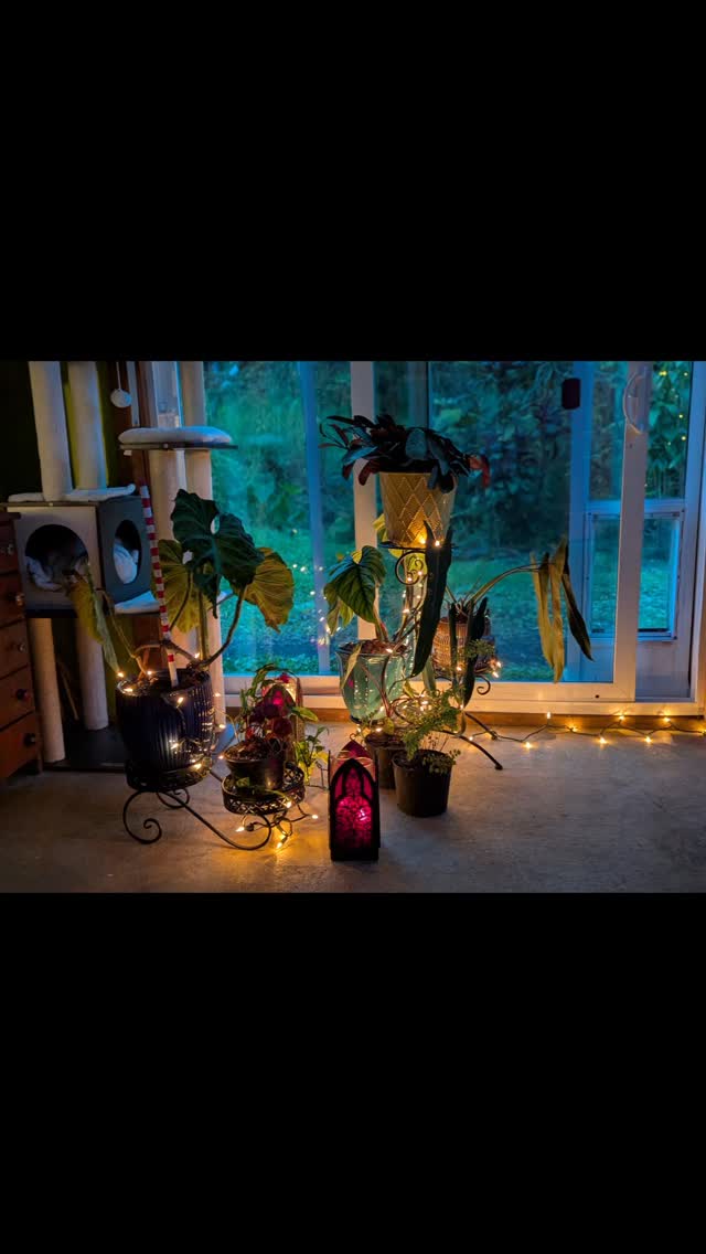 @thetinybutler studio
Finally did some spring cleaning. This is where the magic happens when the muses return from galavanting with forest fairies.