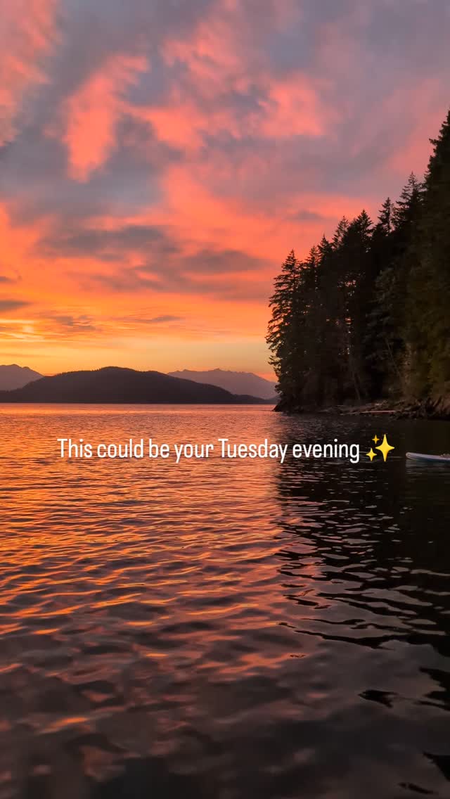 Introducing weekday paddleboard rentals $29.
Weekday reset Paddle, breathe,recharge,repeat ✨
Only few spots available from 5 to 7 pm.
📍Pick up and drop off Chilliwack only