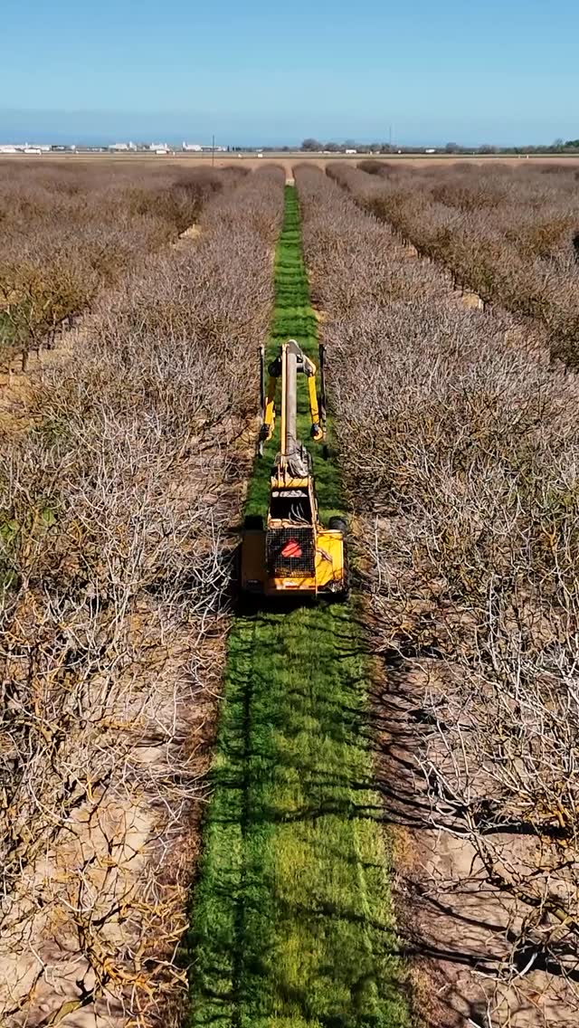 When it’s done right, you see it all season. Better rows, better growth, better results. 🌳
Let’s get you taken care of! 📞
North Valley: (209) 564-8207
Central Valley: (559) 363-3315
South Valley: (559) 201-3189
#TreeCare #OrchardWork #AgIndustry #AgServices #OrchardManagement