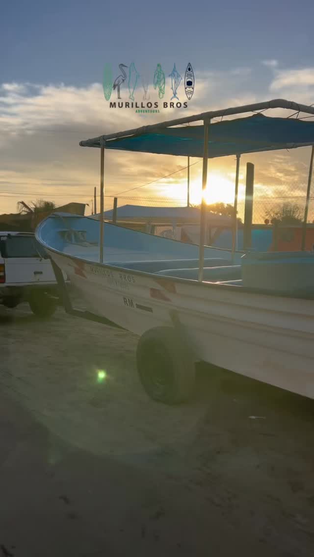 2026 🌊🔥
La temporada más esperada del año se acerca… Octubre está cada vez más cerca 🌊🔥
La Carrera de la Sardina Mexicana
en Bahía Magdalena, BCS
Un fenómeno natural donde miles de sardinas forman bolas compactas para sobrevivir,
mientras depredadores como marlín, delfines y lobos marinos entran en acción
Un espectáculo real, salvaje e impredecible
naturaleza en su máxima expresión
🌊 Salidas desde Puerto San Carlos
🕒 Jornadas en mar abierto
🤿 Snorkel en zonas activas (seguro y responsable)
📅 Octubre – Diciembre
⚠️ Temporada corta
⚠️ Lugares limitados
Si quieres vivirlo de verdad… este es el momento
Únete a nuestras expediciones
con los Hermanos Murillo
📲 Reserva ahora
2026 🌊🔥
The most anticipated season of the year is getting closer… October is getting closer 🌊🔥
The Mexican Sardine Run
in Bahía Magdalena, BCS
A natural phenomenon where thousands of sardines form tight bait balls to survive,
while predators like marlin, dolphins and sea lions move in
A real, wild and unpredictable spectacle
nature at its finest
🌊 Departures from Puerto San Carlos
🕒 Full days in open ocean
🤿 Snorkeling in active areas (safe and responsible)
📅 October – December
⚠️ Short season
⚠️ Limited spots
If you truly want to experience it… this is the moment
Join our expeditions
with the Murillo Brothers
📲 Book now
#SardineRun #MexicanSardineRun #BaitBall #MagdalenaBay #BahiaMagdalena