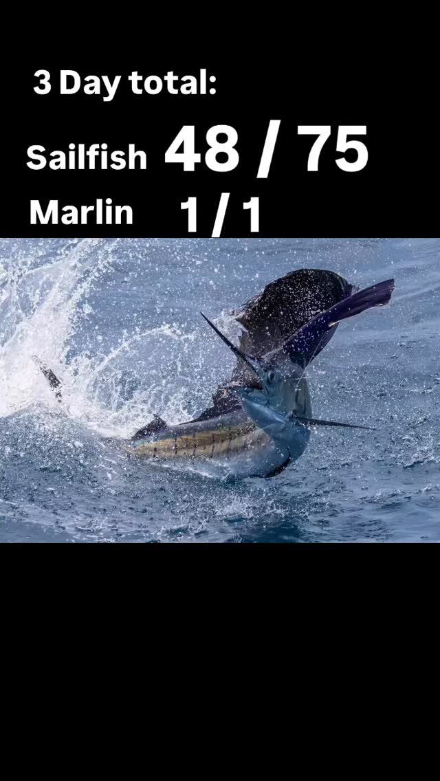 Saltlick Outdoors fished with us the last 3 days. There Total: 48 from 75 bites and a blue Marlin. Fish w/ INTENSITY!!!