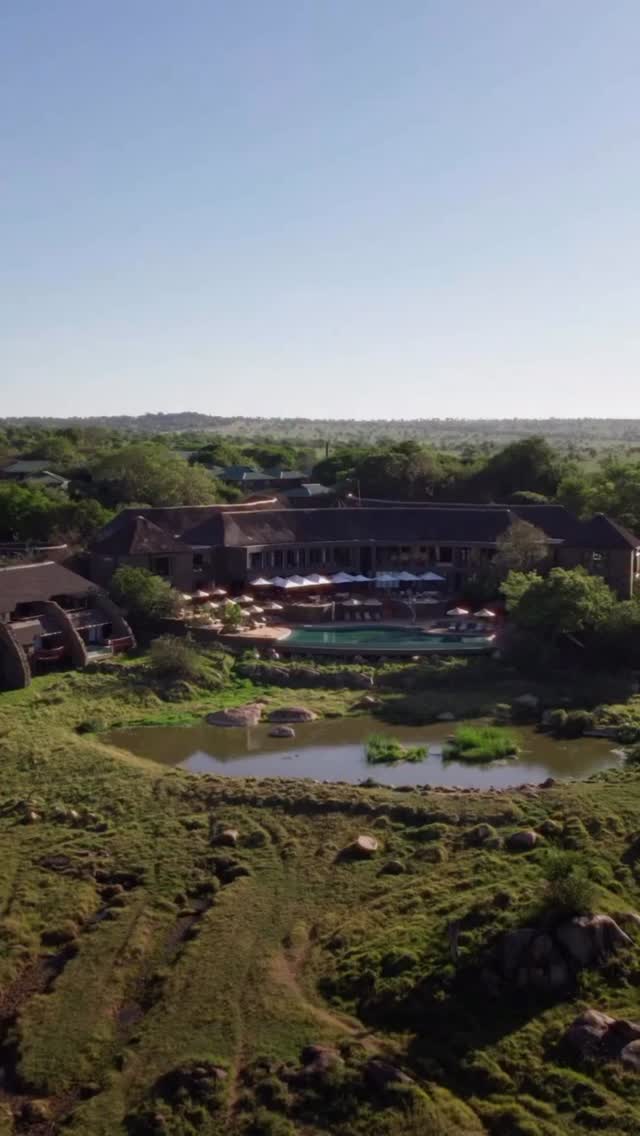 Luxury in the Wild: Four Seasons Safari Experience
Experience the ultimate luxury safari in Tanzania with a stay at Four Seasons Safari Lodge Serengeti.
Watch a beautiful Leopard resting in the wild, while herds of Plains Zebra move across the endless plains of Serengeti National Park.
After an exciting day, relax by the bonfire under the African sky, enjoying peace, comfort, and the sounds of nature around you. This is where adventure meets true luxury.
📸 Perfect for luxury travelers & honeymoon
🌿 Wildlife + comfort in one experience
🔥 Evenings by the bonfire in the wild
✨ Discover Tanzania safari in style!
📲 https://wa.me/255744391567
🌍 http://www.meilleurtours.com
📧 meilleurtours@gmail.com
#MeilleurTours #LuxurySafari #FourSeasonsSafari #Serengeti #TanzaniaSafari @fsserengeti