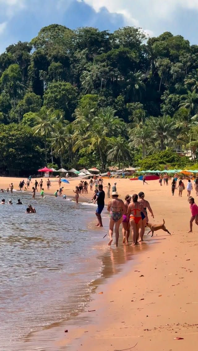 Começando a semana assim no paraíso baiano.
Nossa pousada está a 5min de caminhada da Praia da Concha e a 1min da Orla da cidade.
Além de se hospedar com conforto, você tem a comodidade de estar perto dos principais atrativos de Itacaré.
Acesse o link da bio e garanta a sua reserva com 20% de desconto em maio e junho, reservando através do nosso WhatsApp.