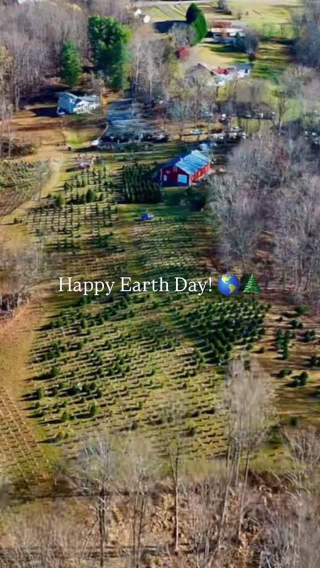 It’s never just one season on the farm 🌎🌲 After the holidays end and the fields feel a little quieter, the work starts all over again. Every tree that found a home last Christmas leaves behind space for something new.
In early spring, we plant the new baby trees—this year, 1,200 trees were planted into the same spots where last year’s trees were! These baby trees we planted this year? They’ll be ready for you to cut down in about 7–8 years 🎄
By late spring, tiny buds turn into fresh green growth, and the fields start to feel full again (honestly, one of our favorite times of year, behind the holiday season of course)!
Then summer rolls in, and each tree is carefully shaped by hand, trimmed into that classic Christmas form—getting ready, slowly but surely, for its turn.
Because Christmas tree farming isn’t just about one season… it’s a cycle. One tree home, another one planted. Year after year ♻️ Happy Earth Day everyone!