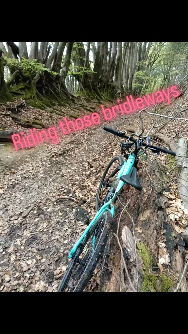 There are literally miles of empty bridleways down here and this bike is just perfect for these sandy trails. I find that riding even just a short ride helps keeps me sane when I'm caring for my parents. Yesterday I saw a doe in the bluebells. We just quietly stood and looked at each other for ages. #cyclinglife #woodland #bikelife #bikeride #gravelbikeworld
