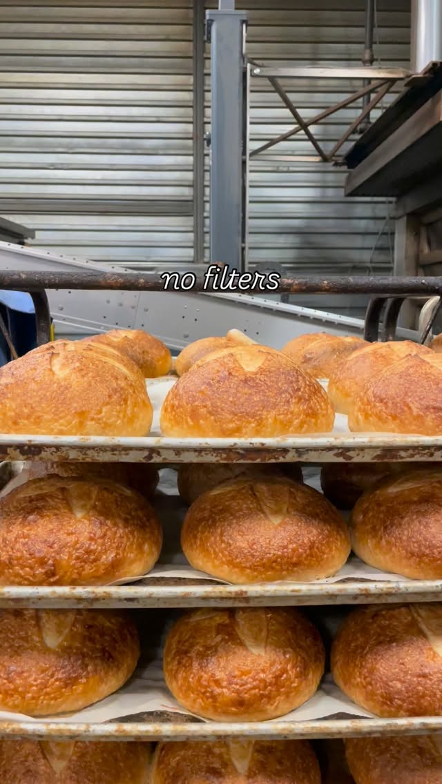 No filters. No viral audio. No trend chasing. Just really good bread. 🍞 #mediterrabakehouse #artisanbread