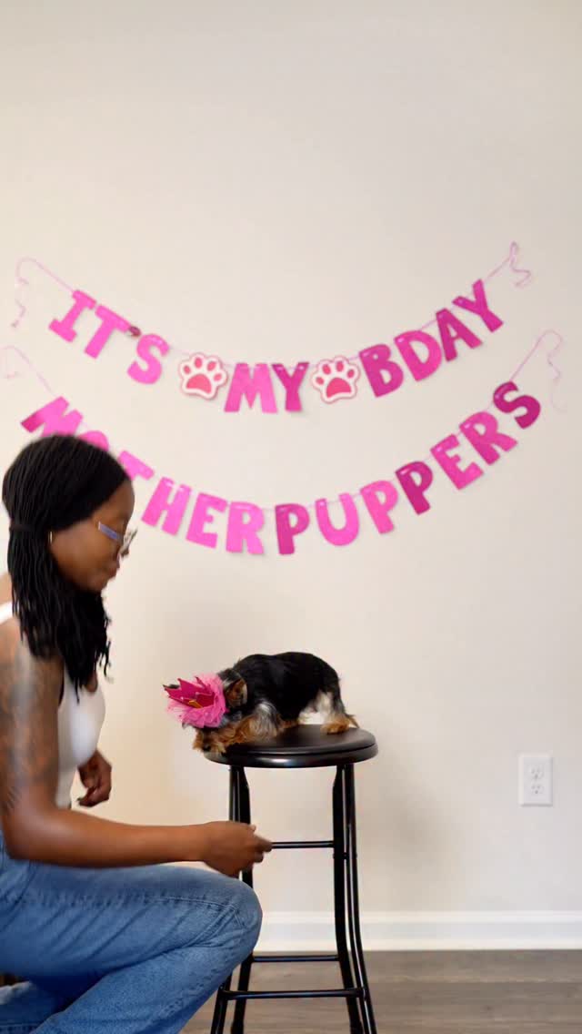 the photos vs what it actually took to get them 😭🐾
#dogmomma #dogmomproblems #expectationvsreality