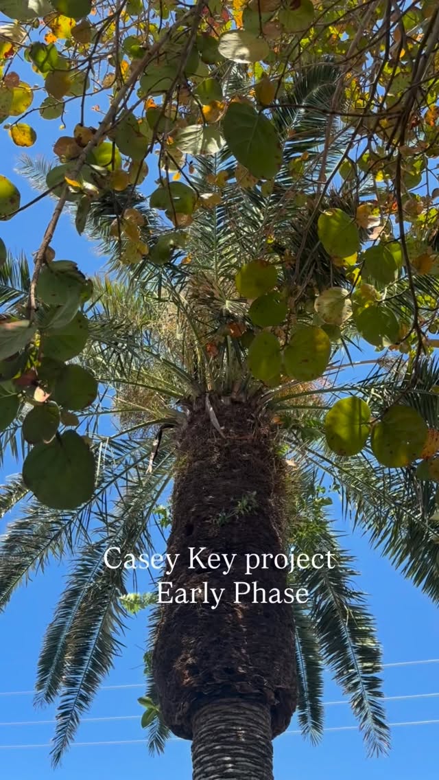Every project starts with what’s already there.
On Casey Key, we’re studying light, proportion, and the architecture—before anything else unfolds. #caseykey
#sarasotadesigner
#interiorarchitecture
#designprocess #caseykeyfl