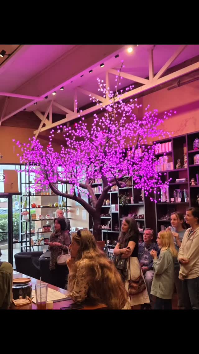 Thank you to everyone who came out on Saturday, as well as those who supported by purchasing tickets to our Tea Social in support of @cupofteaoregon 🙏🏻✨ The tea community is so special and warms our hearts to see so many of you come together, share moments, and uplift one another. If you weren’t able to attend or haven’t been to @cupofteaoregon yet, a visit is definitely worth while 🤍🍵🙏🏻