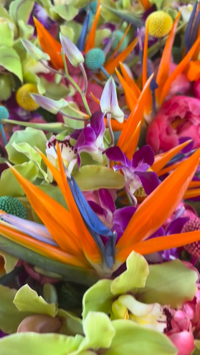 Color in your table linens and florals for an event totally sets the tone and this fun mix yesterday was the perfect way to kick off a welcome party π΄π
#designsbydarenda #flowers #flowerstagram #tropical #centerpieces
