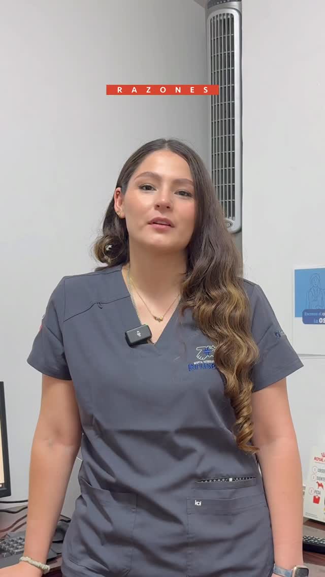 ¿Sabías que muchas emergencias veterinarias podrían prevenirse? 🐶🐱
Es importante entender que muchos síntomas no aparecen “de la nada”. En muchos casos están relacionados con la falta de seguimiento médico.
La medicina preventiva busca detercta las enfermedades antes de que se conviertan en emergencia 🩺✨
✔️Revisiones periódicas
✔️Vacunas y desparasitación al día
✔️Atención temprana antes cambios de conducta
Prevenir siempre será mejor 🐾