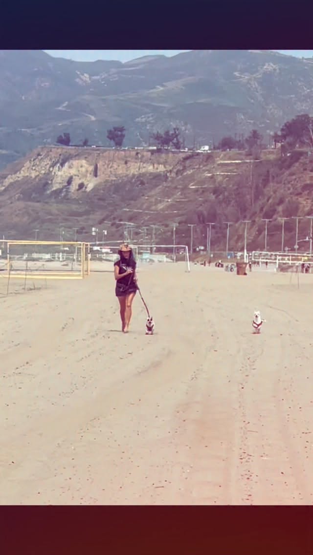 Lucy for the win! Valentine also for the win! 🐾💗🐾 #dreamworld #goodvibes #movementismedicine #rescuedogs #thefutureholdstolove album is out now!! 💘💘💘
