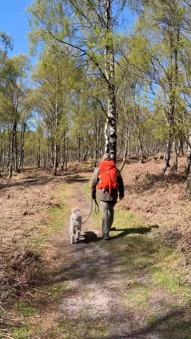 The pack 🎒 in front is Fjällräven, made to last, made for adventure. Shop now by following the link 🔗 in the bio.
#seeyououthere #fjallraven #outdoorgearstore #hiking #outdoors