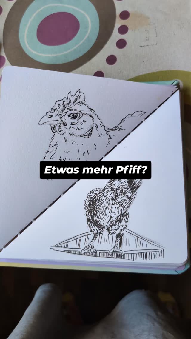 Nachdem ich gerade auch unseren Gemüsegarten zurück erobere und unsere Hühner beleidigt in ihr eigentliches Gehege zurück kehren mussten, muss ich ihnen wenigstens in meinem Skizzenbuch ein wenig mehr Platz einräumen...
#sketch #sketchbookart #aquarell #ink #myownartology