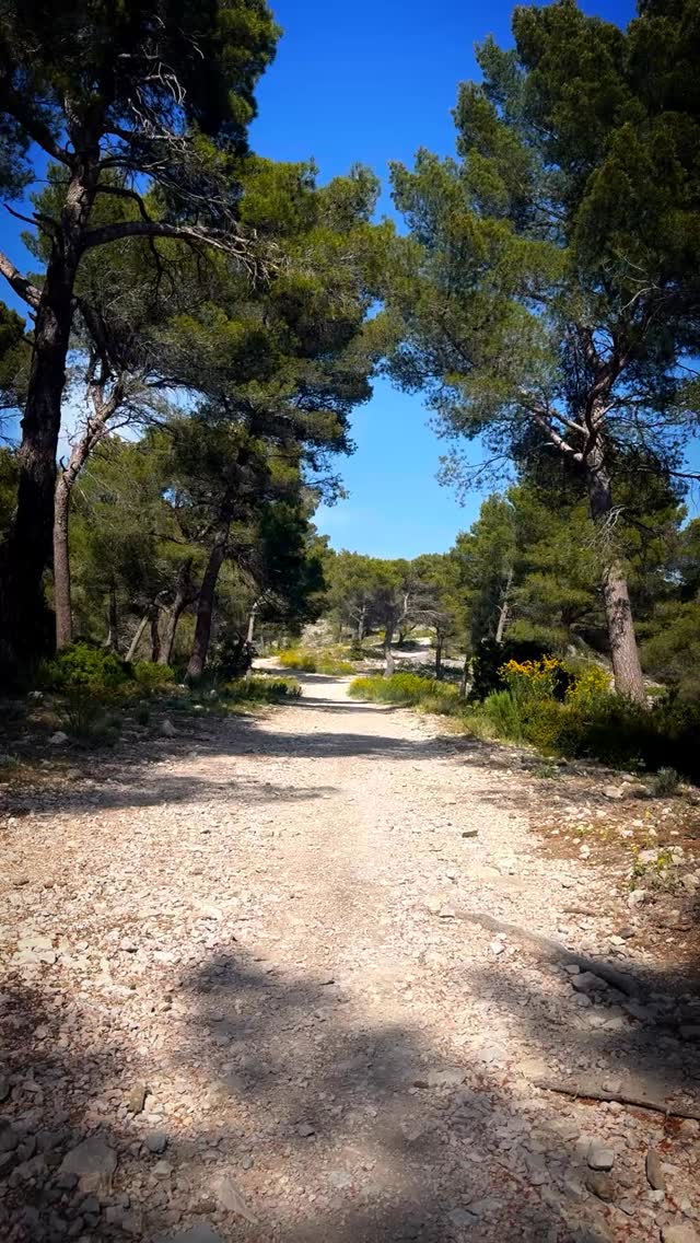 They don’t have a national park to give them a name or protection. And yet, they’re very deserving of any hiker’s attention for their forest, firm dirt and sea views casting from Cassis to La Ciotat. I present to you - the Hills of Ceyreste. #hiking #viraltrails #provence #france