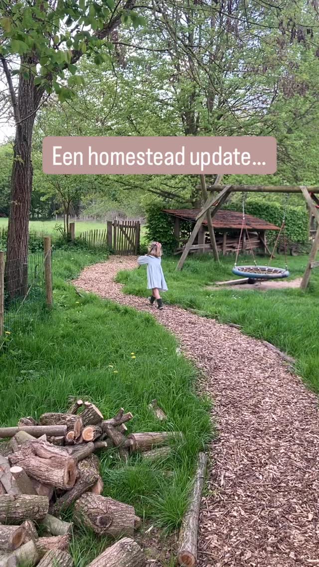 Ach, de #homestead…
In mijn hart voel ik mij al jaren een homesteader. Die er all-in voor wil gaan. Op onze Engelandtrip vorige herfst bespraken we nog welke richting we als gezin uit willen, en werd ik wild van het idee een melkkoe te hebben.
Maar eerlijk…
Het trekt er niet op 😂.
We zetten nauwelijks stappen om echt serieus te worden in zelfvoorzienend en puur te leven en dat ligt vooral aan mij.
Ik ben te weinig stabiel 😂.
Altijd zwanger of een pasgeboren baby of moeilijke nachten met “flexibele” dagen (lees invent-the-wheel chaosdagen) als gevolg. NO WAY dat ik erin slaag om iedere dag om 6u of zelfs maar om 7u op te staan. Dat maakt het moeilijk om die stabiliteit en consistentie te bereiken die je nodig hebt voor een homestead. (Frankly, ik vind het al een hele opdracht die stabiliteit in de opvoeding te krijgen 😅)
Alle dingen die “moeten” op een bepaald tijdstip (moestuin wateren of alles gaat kapot, vijgen oogsten, patatten uit de grond halen voor het gaat vriezen) waren een complete ramp vorig jaar.
En eerlijk, de werkethiek die we hierin willen bevorderen bij de kids laat echt te wensen over. Da’s al jaren een verlangen, maar we staan nog nergens. Als we de verhalen over Almanzo Wilder ernaast leggen (boek 4 Kleine huis) kunnen we niet anders dan beschaamd zijn 😂. Dit jaar doen we nieuwe pogingen met nieuwe systemen, die deel ik later.
Ik weet niet of we er ooit meer serieus in gaan worden. We hebben hier een behoorlijke lap grond maar daar staat vooral een jeugdverblijf op, dat gerund moet worden. Dat en homeschooling zijn sowieso dringendere prioriteiten. Daarnaast willen we ook open blijven voor het leven. Moest er maar om de 4 jaar een baby komen zou het zeker makkelijker zijn!
Maar concrete ambities voor dit jaar hebben we wél. Veel meer oogst bewaren van de fruitbomen hier. Op dit momet heb ik 48 tomatenplanten verspeend. Deze week is echt moestuinweek, want de buurman is mijn veld komen omploegen. En ik word heeeel blij van er veel in te werken, en het idee dat we toch echt aan het upscalen zijn. Ook die kippen en biggen zouden er de komende weken echt moeten komen!!
Iemand anders die dezelfde struggles/twi