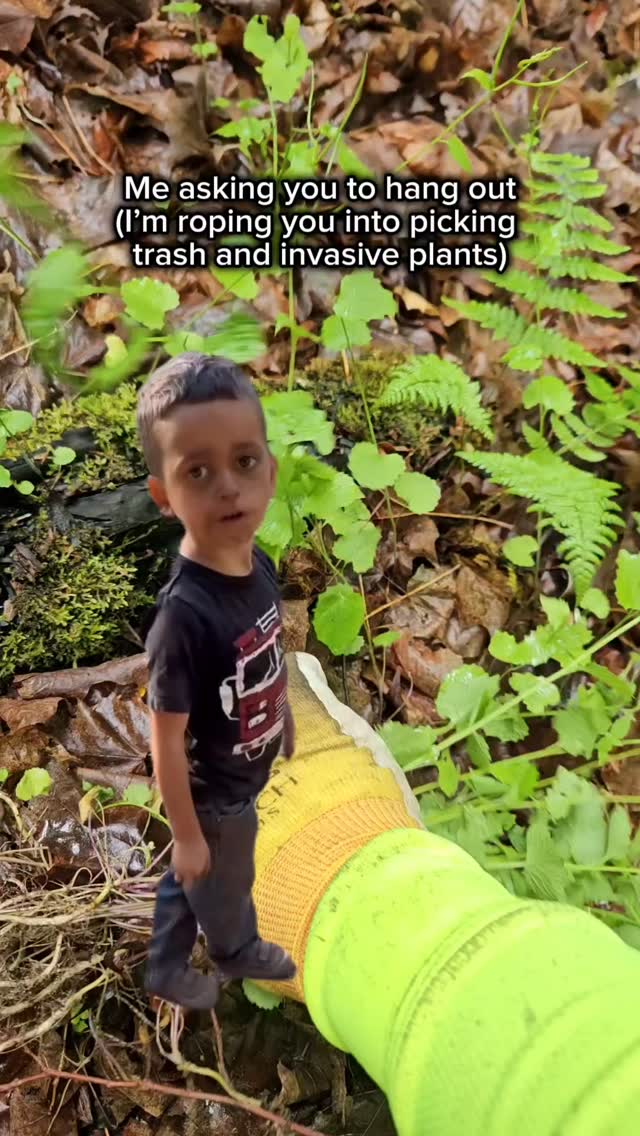 Happy Earth Day!
Want to give back to our mother Earth today? Head to your local park to clean up trash or remove invasive plants, like garlic mustard!
If you're in our area, we'll be at Iron Mountain City Park (by the tennis courts) from 5-6pm today - come "hang out"!
#earthday #garlicmustard #earth #conservation #capcut