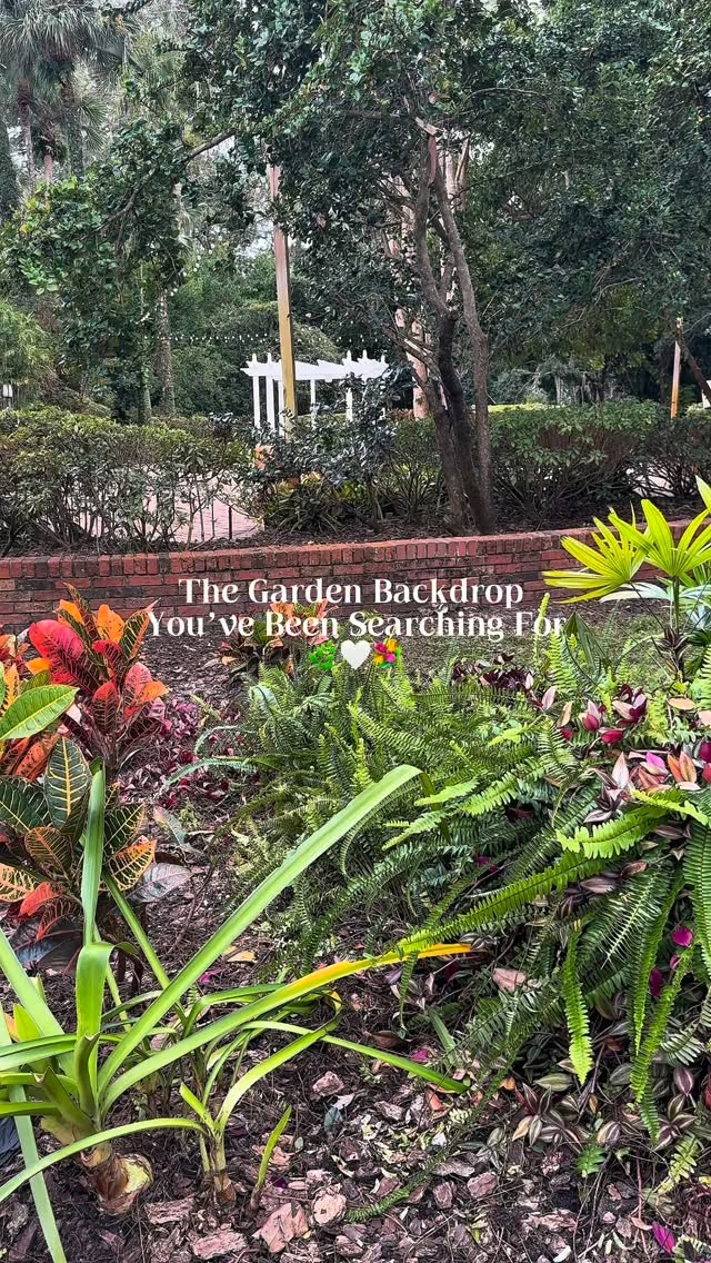 This is your sign to stop searching.
The Garden Villa is where unforgettable events begin 🌿
Contact us or DM us to reserve your date today!
📧 Events@TheGardenVilla.com
📞 407-745-5718
#winterpark #orlandoeventvenue #winterparkvenue #orlandowedding #floridaweddings