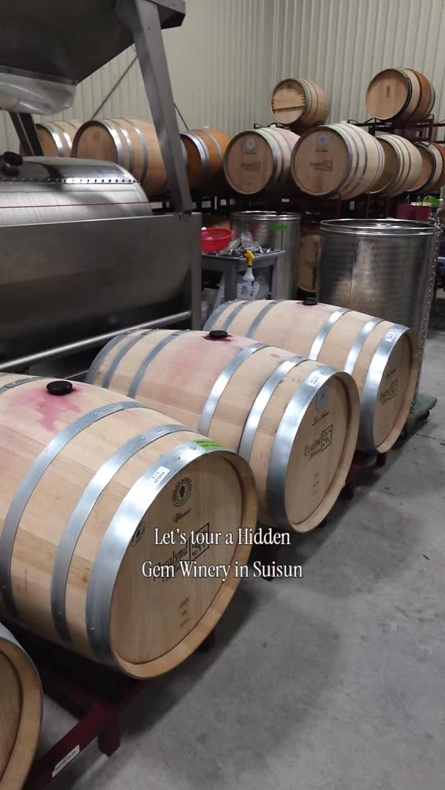 Hidden winery in Suisun Valley! 🍷 @rosalyndwinery
Have you heard of Rosalynd Winery? Rosalynd Winery is off the beaten path at the end of Morrison Lane in Suisun Valley. The winery is on a beautiful property that backs up to the Solano Land Trust! 🌿
David White is the owner of Rosalynd winery and he does all the winemaking operations himself and he even designed his barrel room piece by piece! 🏗️
His bottled Chardonnay and Pinot Noir are made in the Carneros Valley. He has an estate Cabernet Sauvignon that is made in Suisun Valley and it's amazing 🍷
David is also a writer and wrote a murder mystery novel that takes place in the California wine country. The name Rosalynd comes from the main character in his book! 📚
Make sure you check out Rosalynd Winery and follow Suisun Valley Living for more hidden gems 🥂
.
.
.
.
#suisunvalley #suisunvalleycalifornia #suisunvalleyliving
