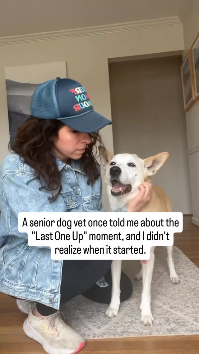 Everyone else gets up and moves first, and for a second they stay where they are. It doesn't stand out right away, it just feels like a small delay that's easy to brush off.
Then they get up, a little slower, a little more careful, like they're easing into it before joining in.
And if you've been with them long enough, that's when you feel it.
Because you remember when they were always right there with you, moving at the same time, never the last one to follow.
Now there's that small gap.
Not big, not dramatic, just enough that you notice it if you're paying attention.
And once you do, you start to move differently too.
You slow down a bit. You wait without thinking about it. You give them that extra second so they don't have to catch up.
If that feels familiar, you're not imagining it.
Follow for more real, vet-guided insight into senior dog life.