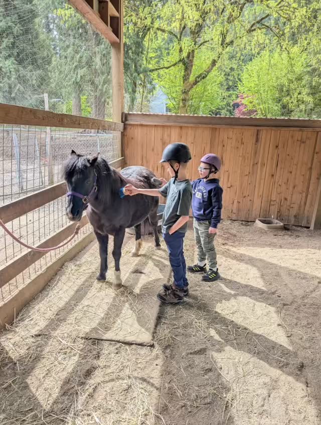 More from @ridgefieldpack310 wonderful experience @healingstepstherapy! Thank you again!