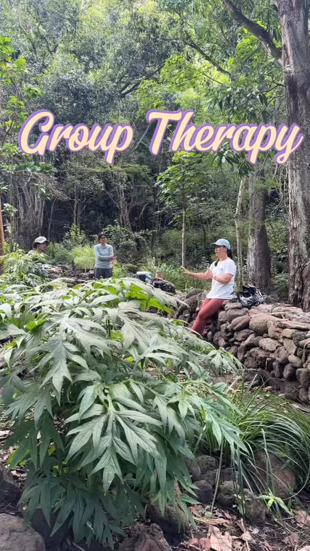 We had so much fun at Group Therapy today! Mahalo nui to Noelle Campbell from @maunaluafishponds for coming to talk about the loko iʻa in Maunalua!
We learned about the history and current stewardship of Kānewai and Kalauhaʻihaʻi. @maunaluafishponds does incredible work to restore these loko iʻa, educate keiki about how these food systems sustained communities, and so much more. We also learned about Kuapā fishpond, or Keahupuaomaunalua, which was once the largest loko iʻa on Oʻahu but is now known as Koko Marina.
We then worked on clearing a new kīpuka and weeding guinea grass around older kīpukas. Mahalo to all of our volunteers for being of service today and planting over 150 native trees, shrubs, and grasses!
#malamaaina #luckywelivehawaii #maukatomakai #nativehawaiianplants #getinvolved