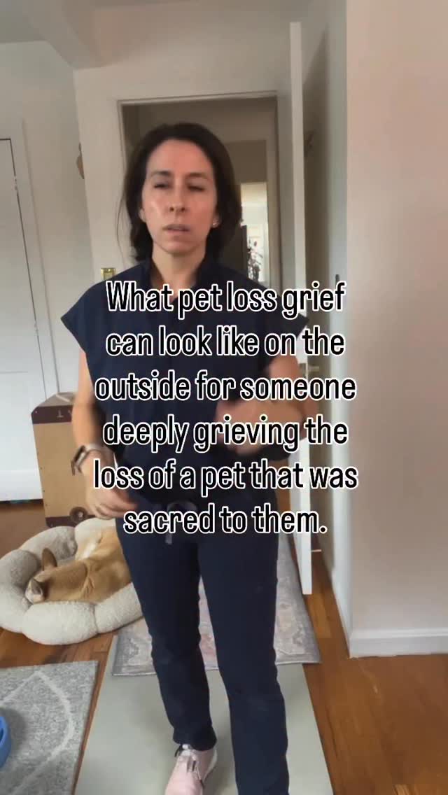 What does your grief look like? And who are you missing? Share with us.
For me, I’m having all sorts of grief creep in as May approaches. You see May is the month I lost all of my boy dogs:
💙Frodo (May 4)
🤍Jose (May 18)
🧡Orwell (May 26).
These guys represented dogs that just always were looking out for me. And the gratitude and grief comes in waves. If you’ve lost someone, tell us what they meant and how you’re doing below ♥️ These are the kinds of things we share @petlosscommunity for anyone struggling🙏
#seniorpets #seniordog