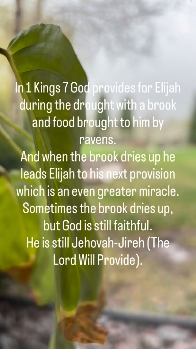 I was reminded of this passage recently and wanted to share.
.
Ps what if I told I had to go have a good cry the first time I heard this song?
.
.
#godisfaithful #rain #spring #scripture