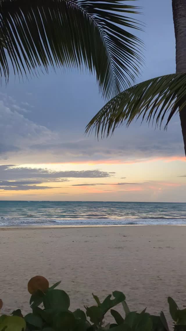 This is the payoff. š
When life feels full and your calendar doesnāt leave much room to breathe⦠this is the kind of moment that makes stepping away worth it.
The best part is, you donāt need a long, complicated trip to get here. Puerto Rico is easy to get to, easy to plan, and when itās done right, it gives you space to actually slow down.
This is the kind of trip I love putting together for my clients ā something that fits into your life, without adding more to your plate.
If youāve been needing a reset like this, letās talk through what it could look like.
š San Juan, Puerto Rico
.
.
.
.
.
#VisitPuertoRico #PuertoRicoTravel #SanJuan #CarribeanTravel #TravelTips