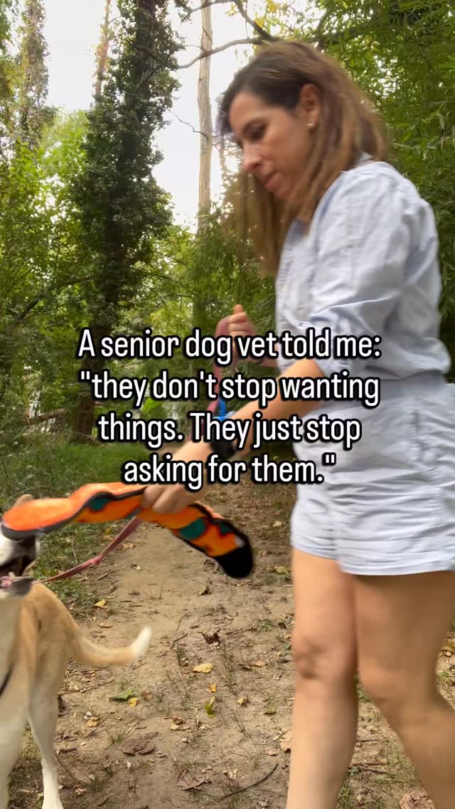 They still want the walk.
Still want the toy. Still want to be near you.
The wanting did not go away.
What changed is that they stopped telling you about it.
They used to bring you the leash.
Now they watch you pick it up.
They used to nudge your hand for attention.
Now they just sit close and wait.
They used to bark at the door when it was time to go out.
Now they look up when you pass it.
Nothing stopped.
They just learned that asking takes something out of them now.
So they stay quiet. They stay close. They hope you notice.
That shift from telling you to waiting for you is one of the earliest changes most people miss.
Because a quiet dog looks like a content dog.
They are not the same thing.
Follow for senior dog care that reads what the silence is actually saying.