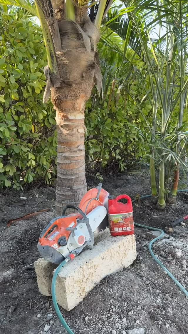 Salt in the air, not in the engine 🌊 - clean fuel, smarter work, done the right way. The Atlantic Alkylate Fuel way.#alkylatefuel #2stroke #green #cleanfuel #ecofriendly