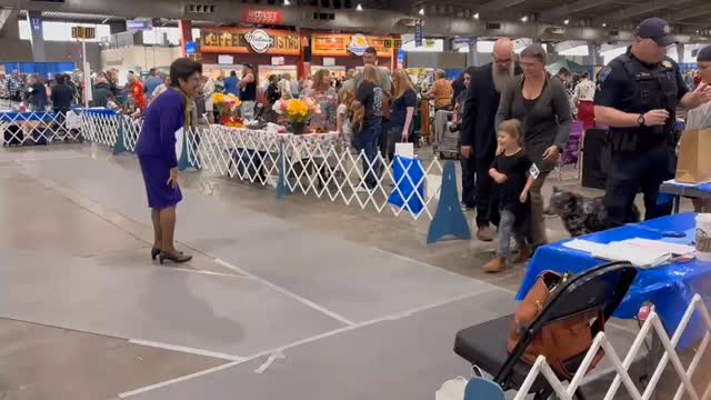 Goober rocks it with Brida in the Peewee class at the dog show!