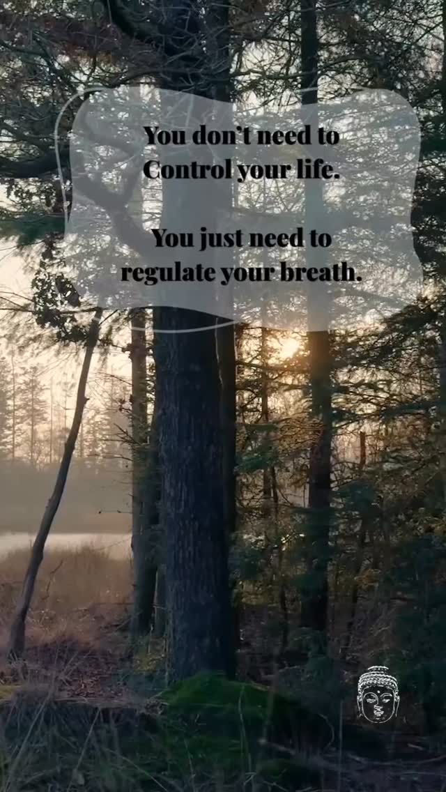 You don’t need to control your life.
You need to regulate your breath.
Most people try to manage how they feel by thinking more, planning more, or pushing through.
But the body doesn’t respond to control.
It responds to signals.
Your breath is one of the most direct ways to influence those signals.
When the breath is shallow or irregular, the body interprets that as stress.
The nervous system stays activated, tension builds, and over time, that becomes your baseline.
You might notice it as:
fatigue
tightness in the body
restlessness
a constant feeling of being “on”
Not because something is wrong —
but because the system hasn’t been given a chance to settle.
When you slow and deepen the breath, you begin to shift that state.
Heart rate changes. Muscles release. The body moves out of stress and into regulation.
In Chinese Medicine, this is also how we influence the flow of Qi.
Breath and energy are closely connected.
When the breath is calm and steady, energy moves more freely.
And when energy moves, the body functions the way it’s meant to.
This is where real change starts.
Not with control, but with regulation.
👉 Start with a simple Qigong practice (link in bio) #bodhilife #bodhimedicalqigong #qigong #healing