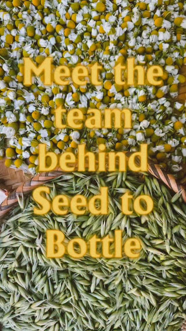 ✨✨✨JOIN US✨✨✨
Seed to Bottle begins in May 🐞
Spaces still available 🏕️
Tickets and details in bio 🔗