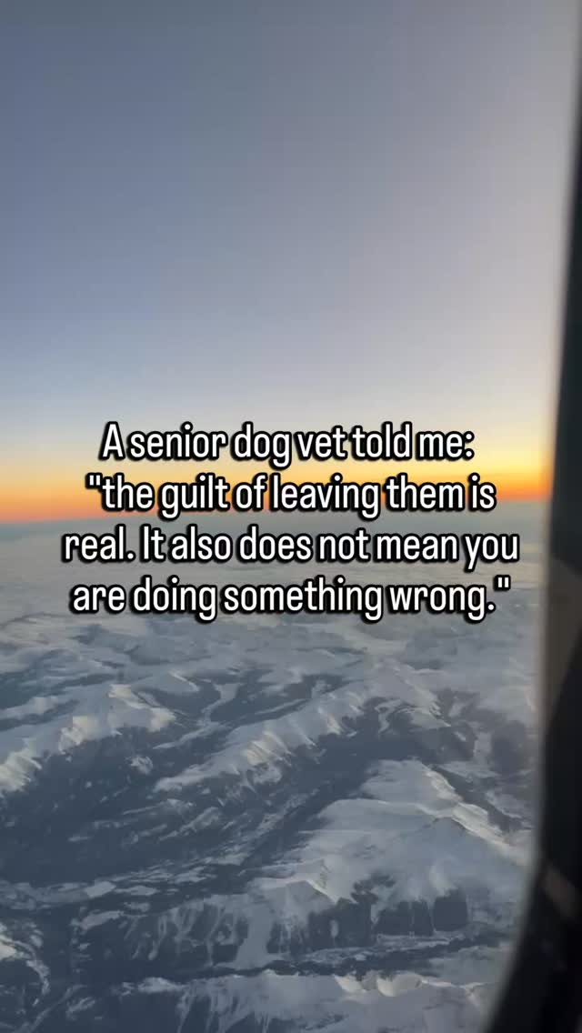 You have a trip coming up.
Or a long work day. Or an overnight.
And before you even pack, you are already thinking about them.
Whether they will be okay. Whether they will know you are coming back. Whether this is the trip where something happens.
That guilt is not irrational.
It is what happens when you love something that cannot understand calendars or suitcases or "I'll be home Sunday."
They only know you are gone.
But here is what I have seen in senior dogs left with a trusted person in a familiar environment.
They rest. They eat. They look for you a few times. Then they settle.
They are not counting days.
They are dogs. They live in the hours.
What they need before you leave is a calm goodbye. Not a long one. Not an emotional one. Just calm.
And when you come back, they will show you everything they saved up.
The guilt means you love them well.
It does not mean leaving is wrong.
Follow for honest senior dog guidance through the hard parts and the everyday ones.