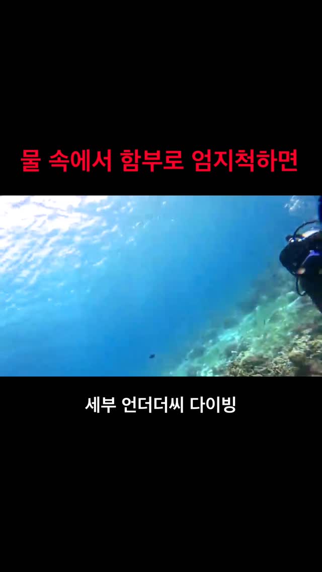 다이빙 중에 엄지척은!!!👍
출수하자는 뜻이지만
이렇게 칭찬해주시면 감동 58000%!!!
물 속에서 처음 교육받으면 긴장될텐데
칭찬해주실 여유까지 생기셨네요☺️
마음을 주고 받을 줄 아는
멋진 분들이 와주시는 언더더씨🪸
덕분에 많이 행복합니다! 감사합니다!
오늘 여러분의 하루엔 누가 ’엄지 척‘을 날려줬나요?