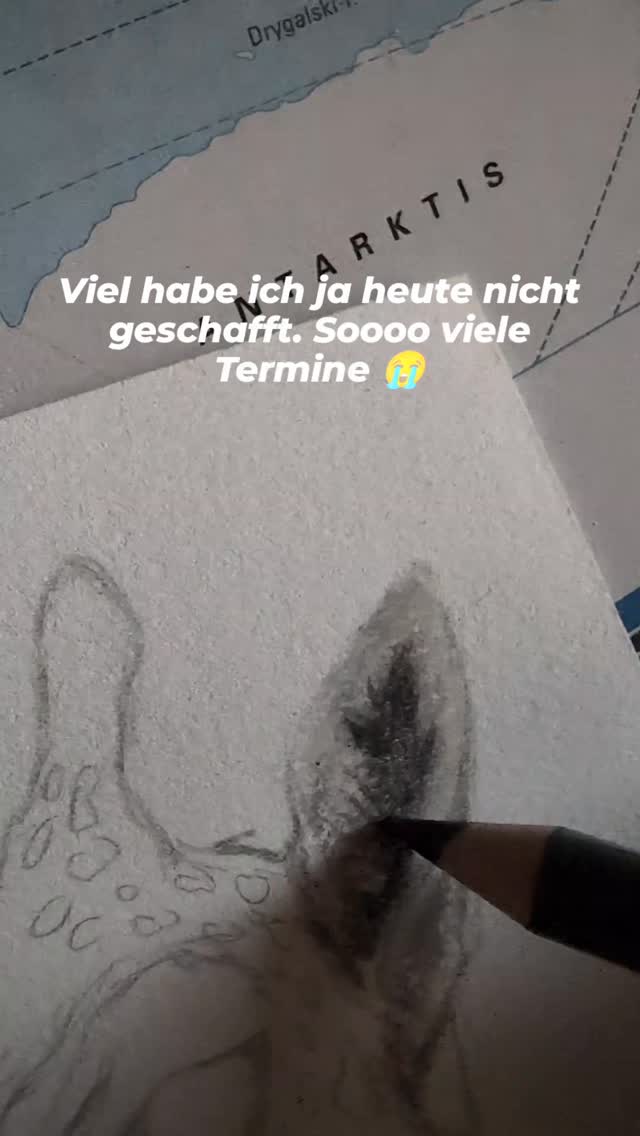 Manchmal gibt es Wochen in denen man leider nicht viel Zeit für Kunst hat... Leider sind das auch immer die, in denen man besonders viel Kunst bräuchte #animalart #pencilartwork #dailyart #ohuhupencils #myownartology