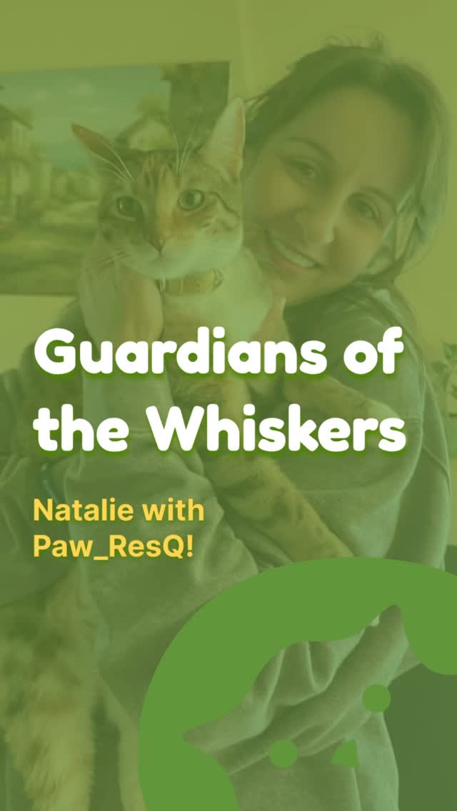 She was afraid of cats. Now she’s saved hundreds of them. 🐾
Meet Natalie: 20+ years of TNR, fostering, and rescuing cats from streets.
We share her story today to show what one person with a big heart and consistency can do.
🛒 WANT TO HELP HER DIRECTLY?
She has an Amazon & Walmart wish list with exactly what she needs for her rescues: food, traps, medicine, carriers. Every item goes straight to saving a life.
👉 Links in @Paw_ResQ Linktree
🫶 Follow her. Support her. Share her story 💚
And remember: Every cat deserves a second chance.
You can be the reason they get one.
👇 Drop a 🐾 if this moved you
#catrescuer #adoptdontshop #catlovers #catsofinstagram #catrescuestory