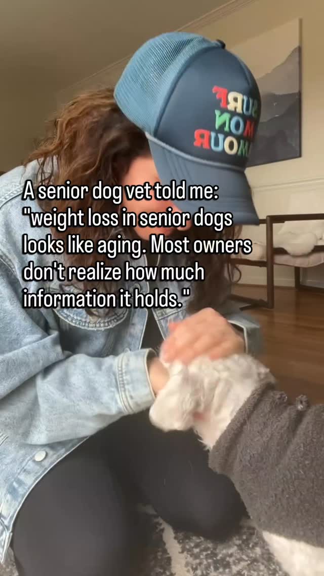 They are thinner than they were a year ago.
Not dramatically.
Just a little less muscle through the back. A little more visible along the spine.
It is easy to explain away.
They are older. They move less. Of course they are leaner.
But weight loss and muscle loss in senior dogs is not a normal part of aging.
It is a signal.
Muscle loss can mean pain that is keeping them from moving enough to maintain it.
It can mean a metabolic change. Kidney disease. Cancer. Thyroid issues.
It can mean they are not absorbing nutrition the way they used to.
The number on the scale matters.
The feel of the muscle over the spine and hips matters.
Most owners notice the weight loss but don't bring it up because they assume it is just age.
It is one of the things I want to know about most.
If your senior dog is lighter than they were six months ago, that is worth a conversation at your next visit.
Even if everything else seems fine.
Follow for the senior dog health observations worth bringing up before they feel urgent.