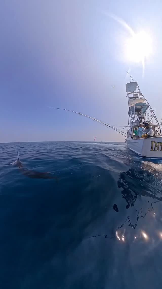 20 from 25 today. Fish w/ Intensity!!!