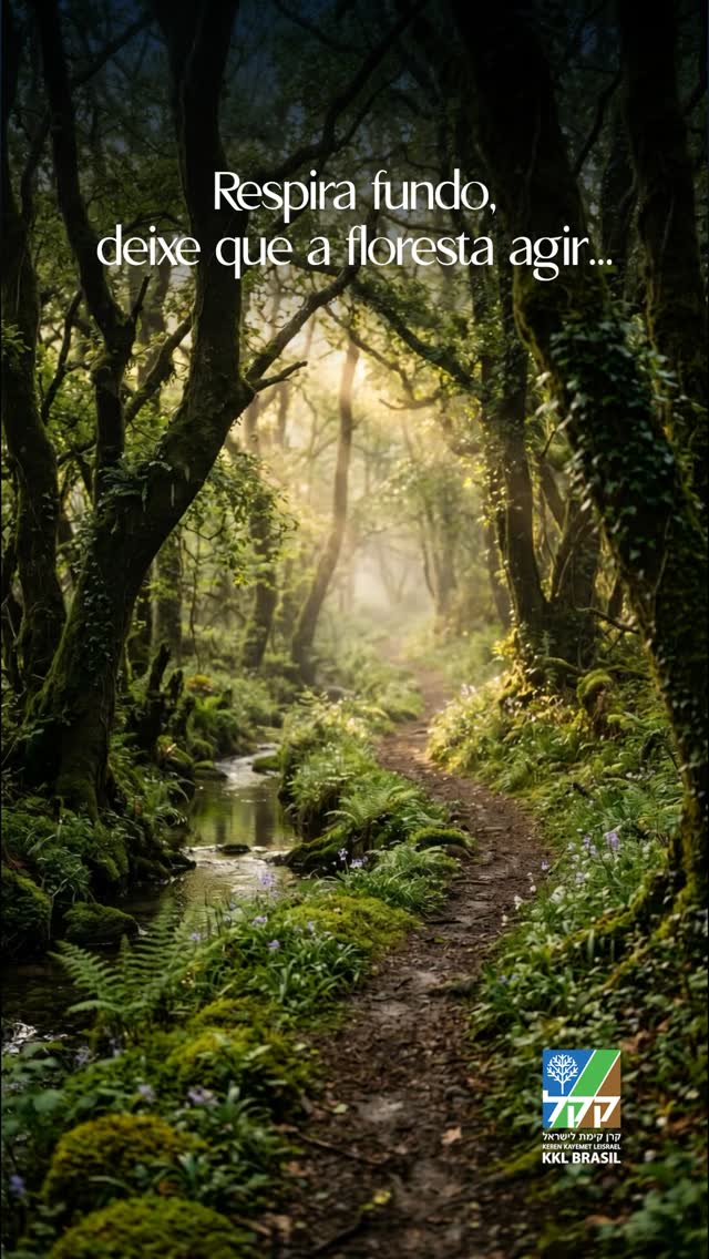 O som de uma floresta é a prova silenciosa de que alguém, em algum momento, decidiu cuidar da terra.
O Bosque da Reconstrução (יער שחזור) é a nossa forma de garantir que esse som nunca pare. Link na bio.
.
.
.
#BosqueDaReconstrução #MeioAmbiente #Israel #KKLBrasil