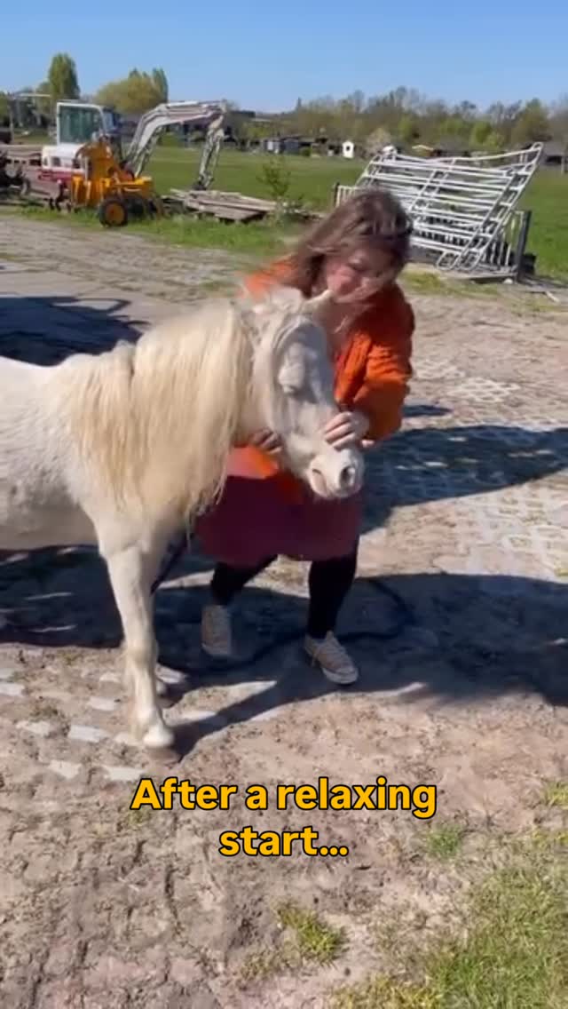 So many horsesexperience pain around the neck and head area. Part of it have to with stress or emotions… but the number 1 reason is that we use the head of the horse to control him. And that can leave a mark beyond the physical ❤️
I am so happy Flits lives a life full of freedom @ari_anew