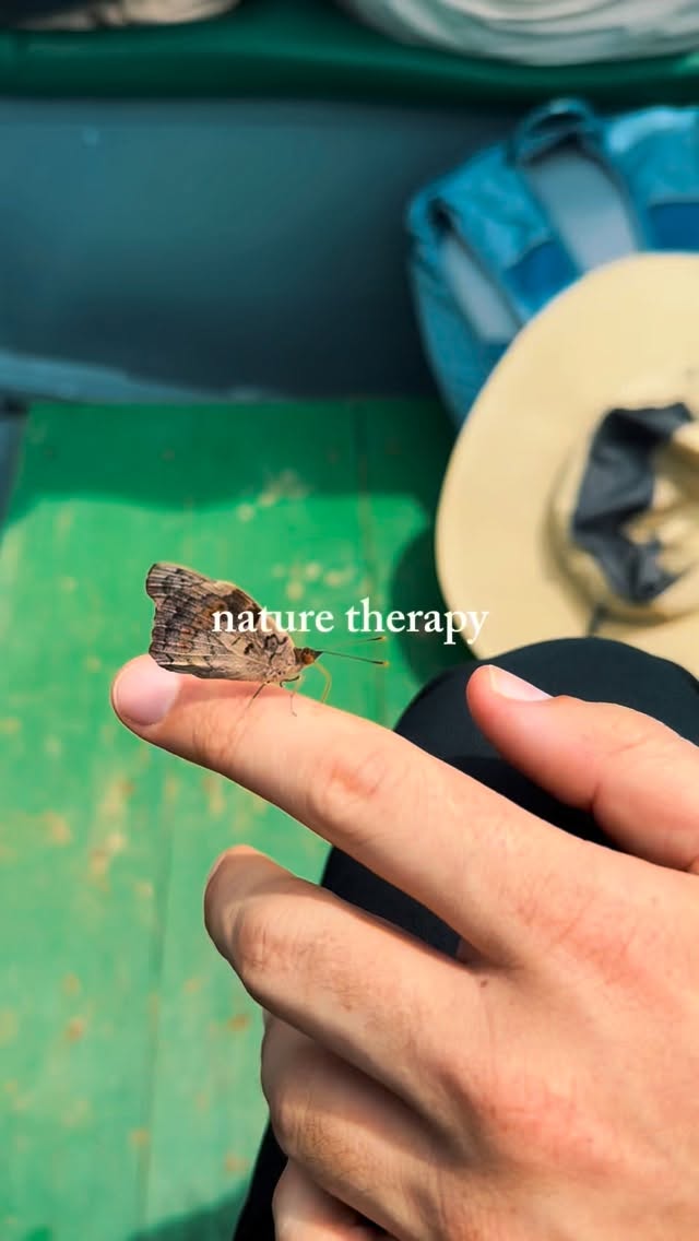 Our routine is full of nature 🦋🌿🌱
Thanks Mother Nature 🙏🏽🌎🍃🌍