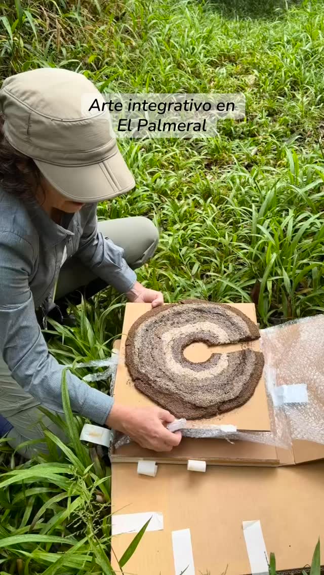 Arte integrativo en El Palmeral.
Biodendrocronías forma parte del proyecto Esculturas Simbióticas, realizado por la artista Veronica Crousse, como parte de su proyecto de investigación-creación por la Asignación por Alto Desempeño de la PUCP
¡Gracias por tu aporte a nuestro bosque Vero!
#arteintegrativo #arteynaturaleza #oxapampa #elpalmeral_oxapampa