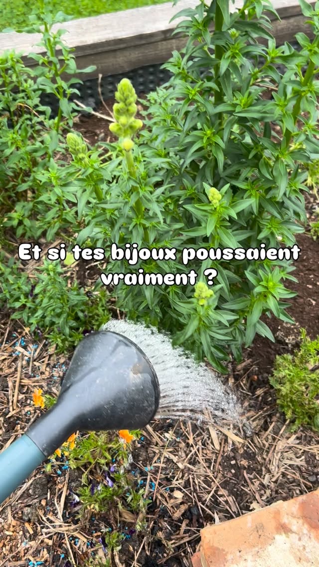 Des fleurs que je fais pousser… aux bijoux que tu gardes ✨
Tu veux voir la transformation ? Dis “suite” en commentaire 👇
artisanat d’art • fleurs françaises • bijoux botaniques • fleurissez-vous • myosotis • fait main